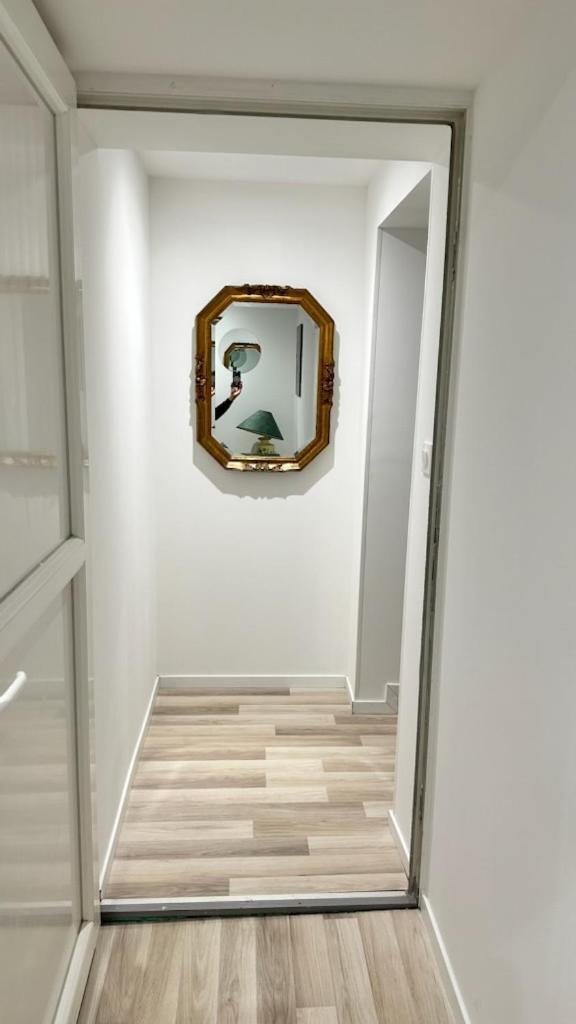 Cosy Citadin Apartment Mulhouse Luaran gambar