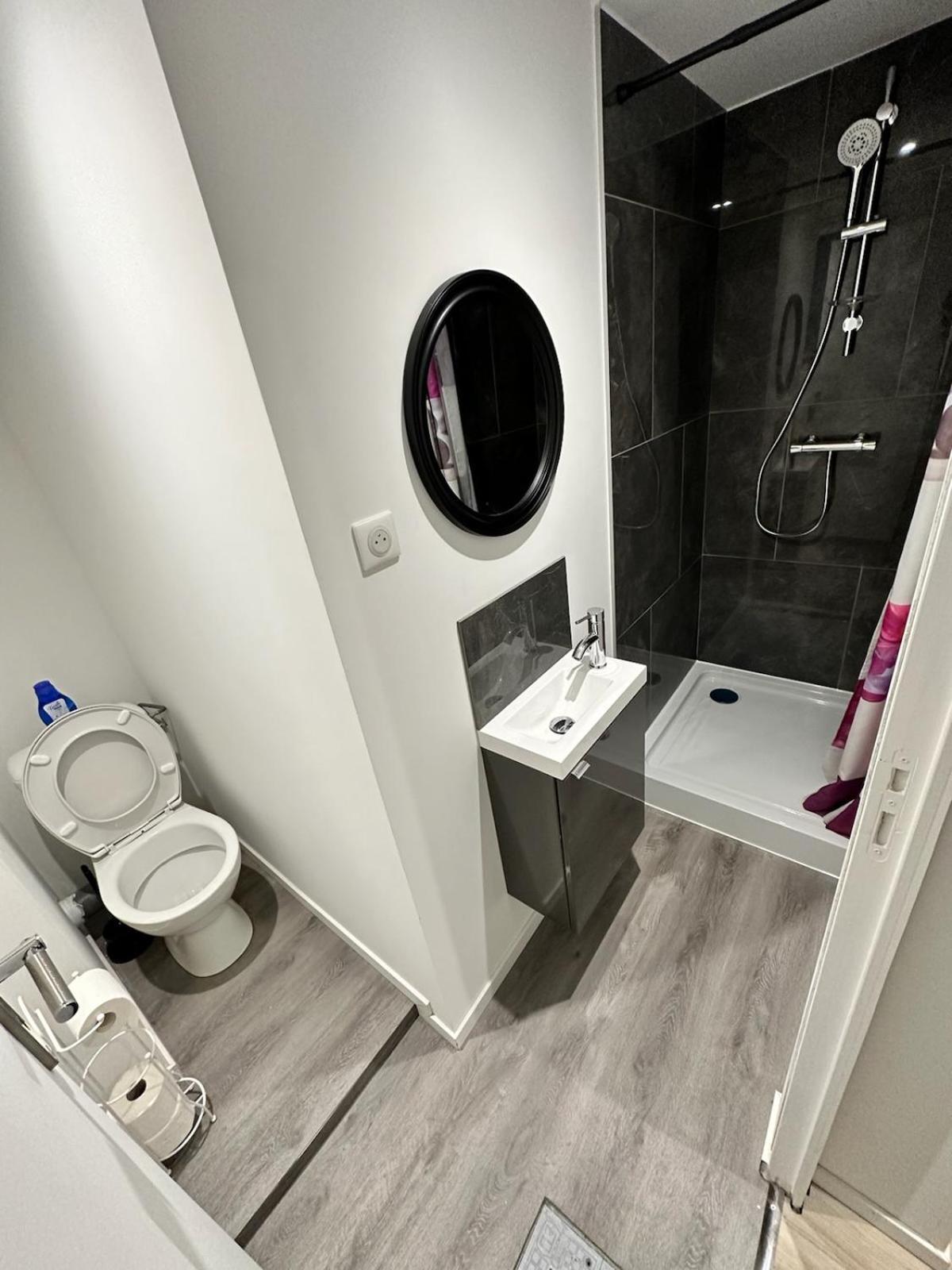 Cosy Citadin Apartment Mulhouse Luaran gambar